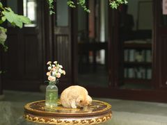 -西园寺