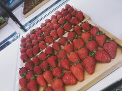 -喜茶(中山白水井店)