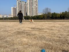 -山明水秀大饭店