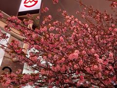 -上海游泳馆(地铁站)