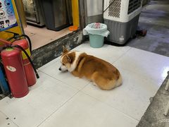-小梁哥云吞面(黄贝岭店)