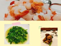 -蝶园·装修中(BFC外滩金融中心店)