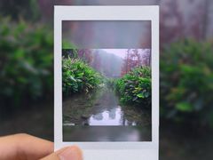 -重庆彩云湖湿地公园