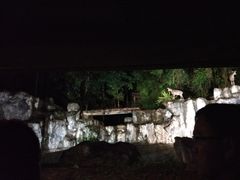 -清迈夜间动物园