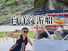 -白洋淀景区