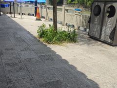 -信义坊码头