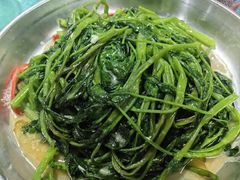 -石岐乳鸽村(桥观坊南四巷店)