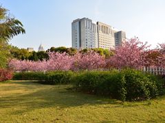 -CELINE(尚嘉中心店)