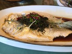-隐山栖(鸿泰佳园店)