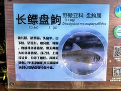 -抚仙湖禄充风景区