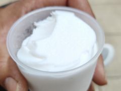 手工椰子雪糕-洪馨椰子