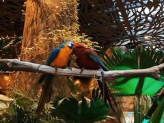 -杭州开元森泊度假乐园