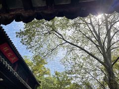 -灵谷景区