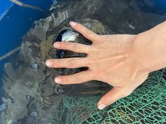 -西江河鲜·趣苑酒楼(鼎湖店)