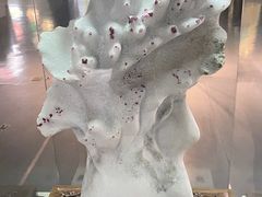 -安徽省地质博物馆