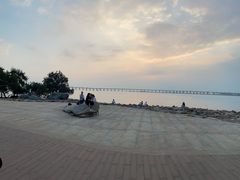 -宝安西湾红树林湿地公园