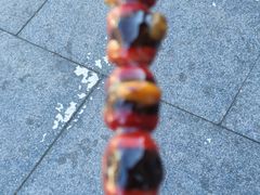 -糖葫芦王保定名吃(古莲花池店)