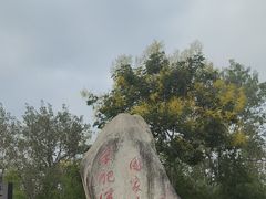 -合肥滨湖国家森林公园