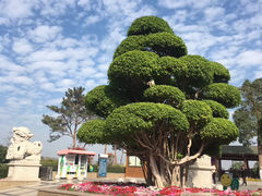 -仙岳公园