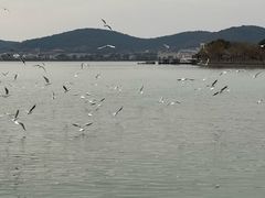 -蠡湖大桥公园