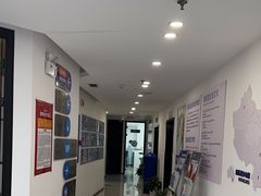 -新航道·雅思托福·Alevel AP·留学考研(光谷校区)