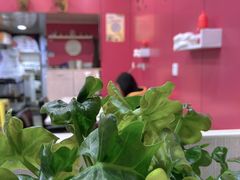 -蘑菇餐厅(小火瓦巷店)