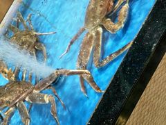 -七鲜超市(万向城店)