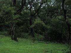-大姆山草场