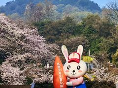 -杭州少年儿童公园