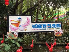 -广州长隆飞鸟乐园