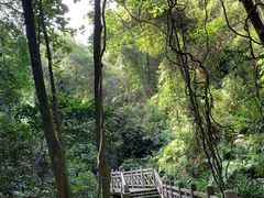 -南宁良凤江国家森林公园