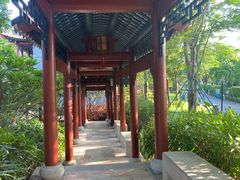 -顺峰山公园