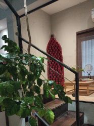 -香秀空间科技抗衰·美容中心