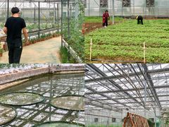 -千龙湖生态旅游度假区