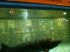 -年辉渔村·非遗传承餐厅(新丰江店)