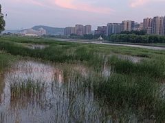 -西安浐灞国家湿地公园