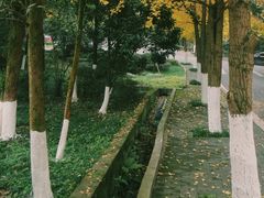 -重庆工商大学(南岸校区)