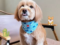 -J Create城市露营咖啡·简餐·宠物(上海动物园店)