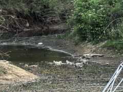 -天目湖涵田度假村