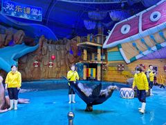 -烟台海昌鲸鲨海洋公园