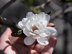-国家植物园