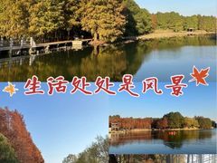 -昆山城市生态森林公园