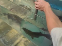 -友谊阳光城
