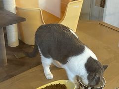 -Me Coffee下午茶艺术空间