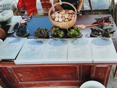 -马陆小张葡萄园农家乐