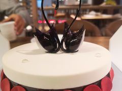 -BLACKSWAN黑天鹅(环球店)