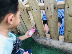 -萌宠亲子动物乐园(槐房万达店)