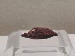 -杭州工艺美术博物馆