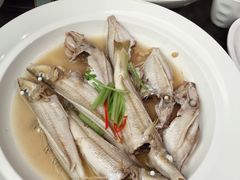 -吴记富苑(朝阳店)