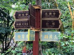 -曼听御花园